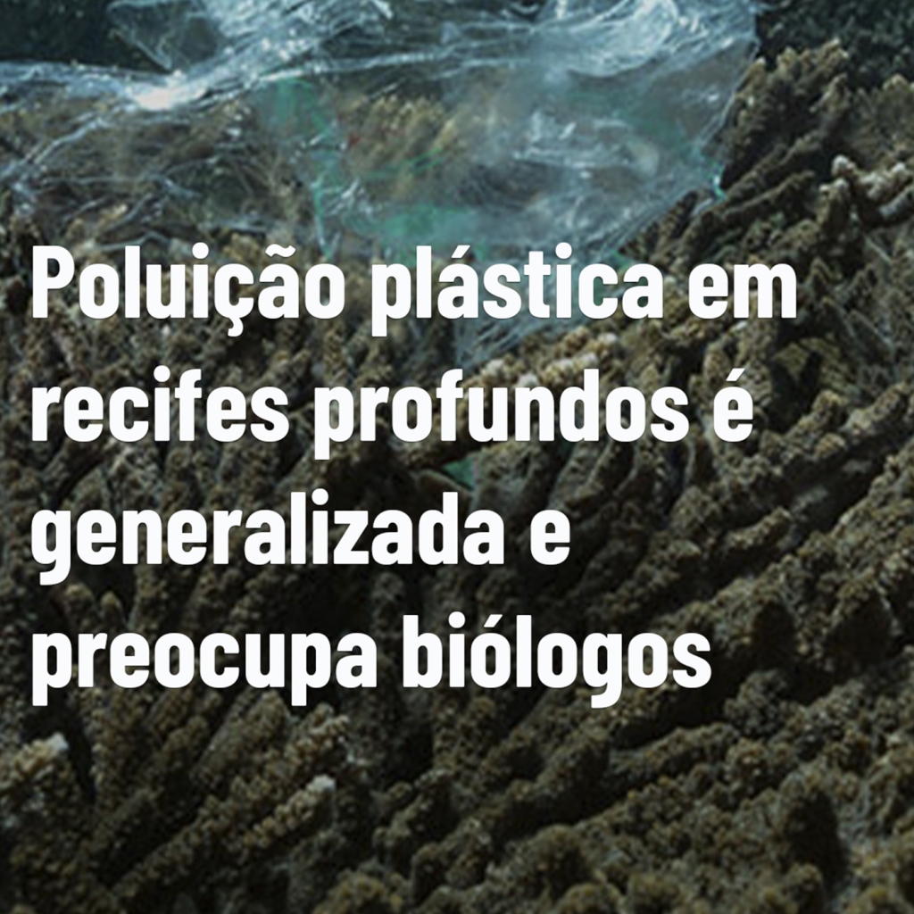 Vídeo – Instagram