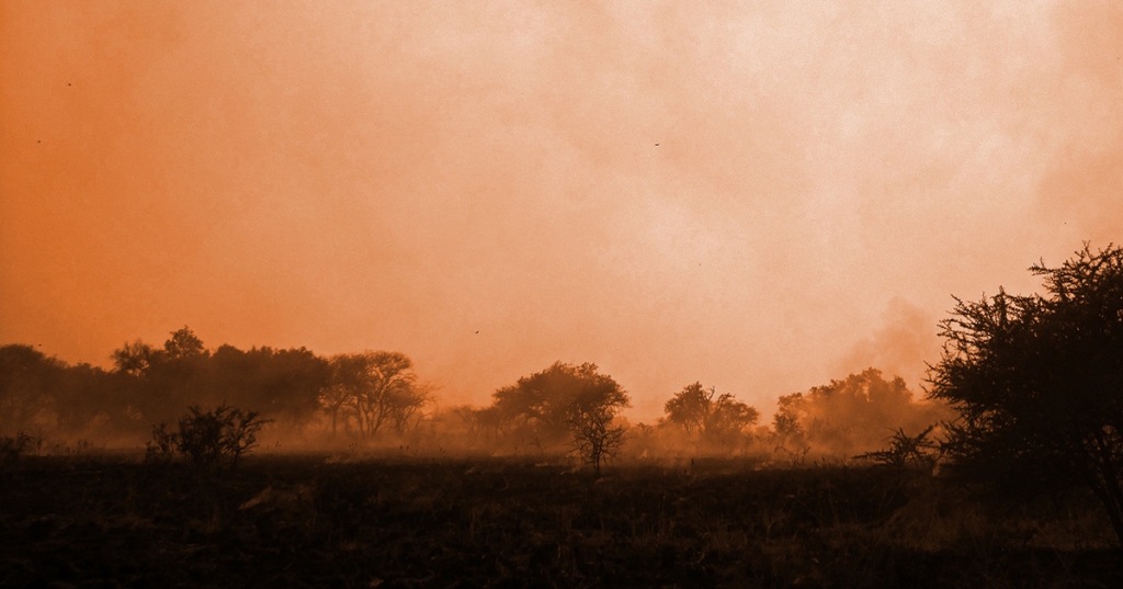 Foto: Domínio Público